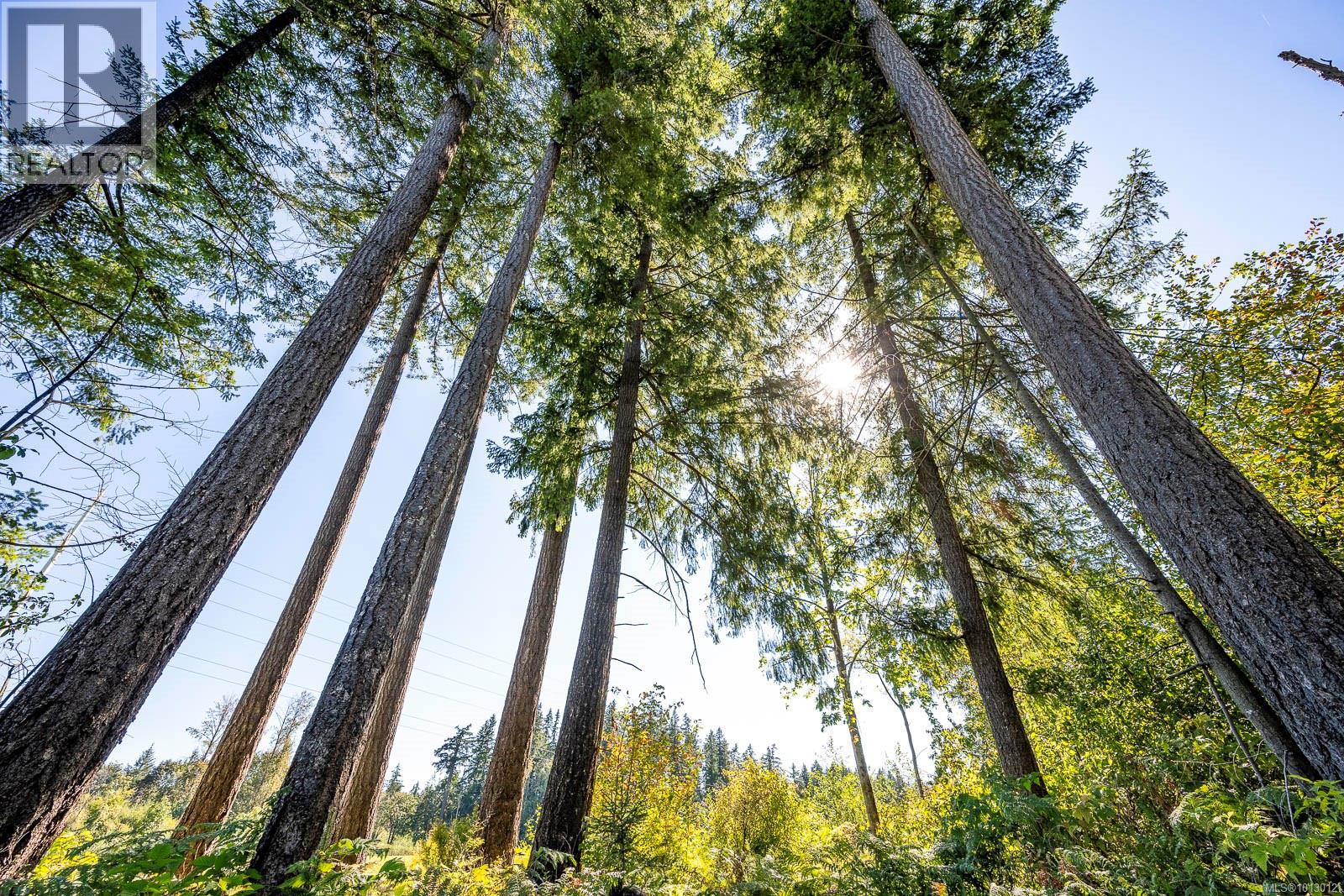 3465 CESSFORD Rd, Courtenay