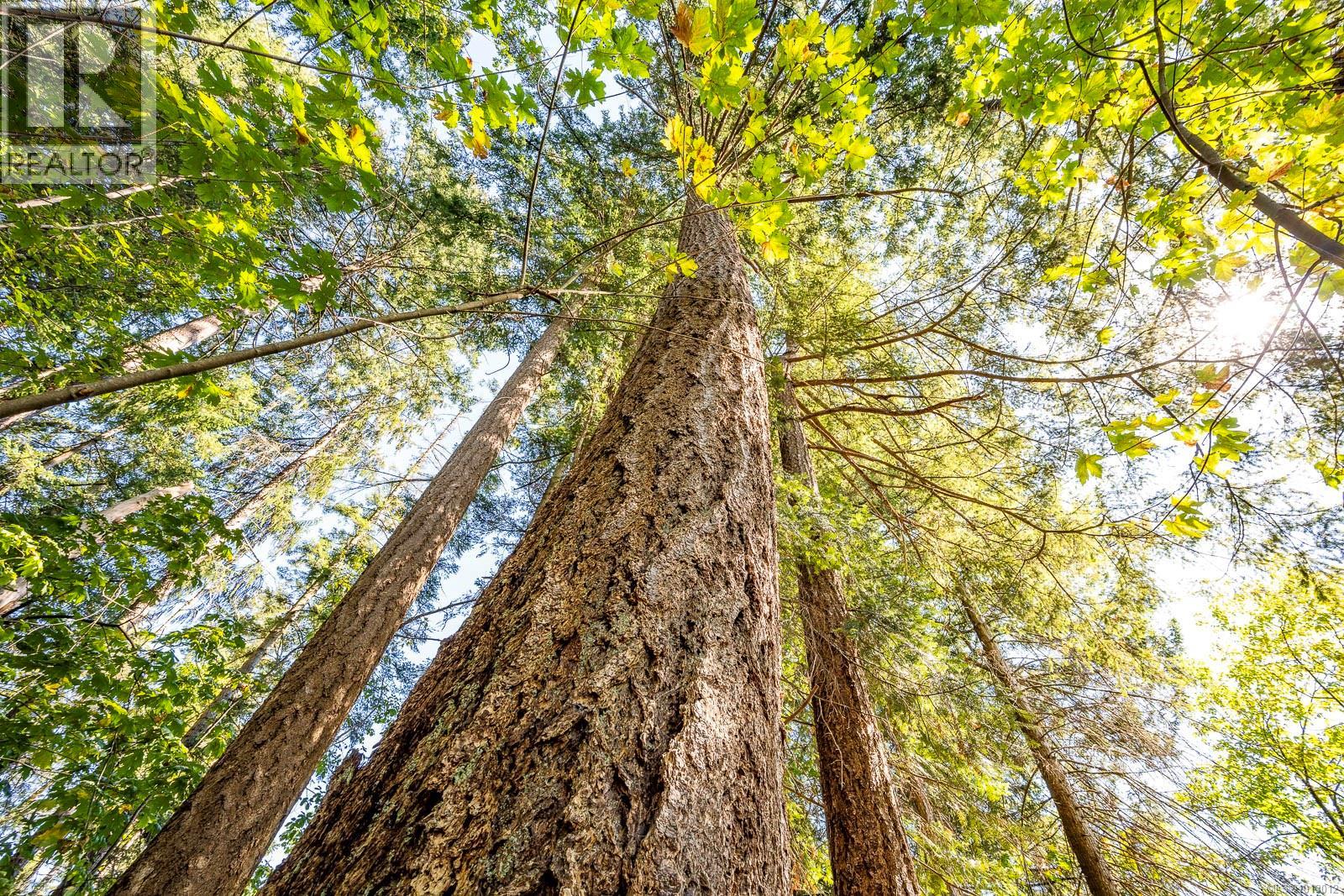 3465 CESSFORD Rd, Courtenay