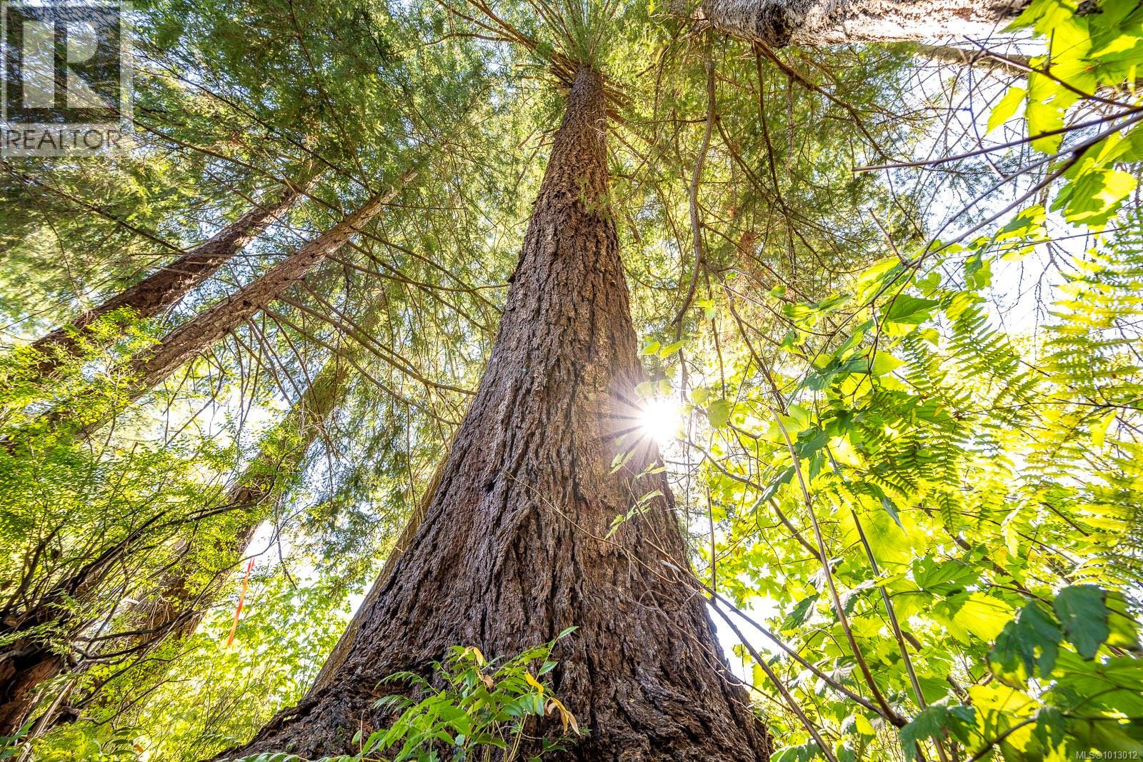 3465 CESSFORD Rd, Courtenay