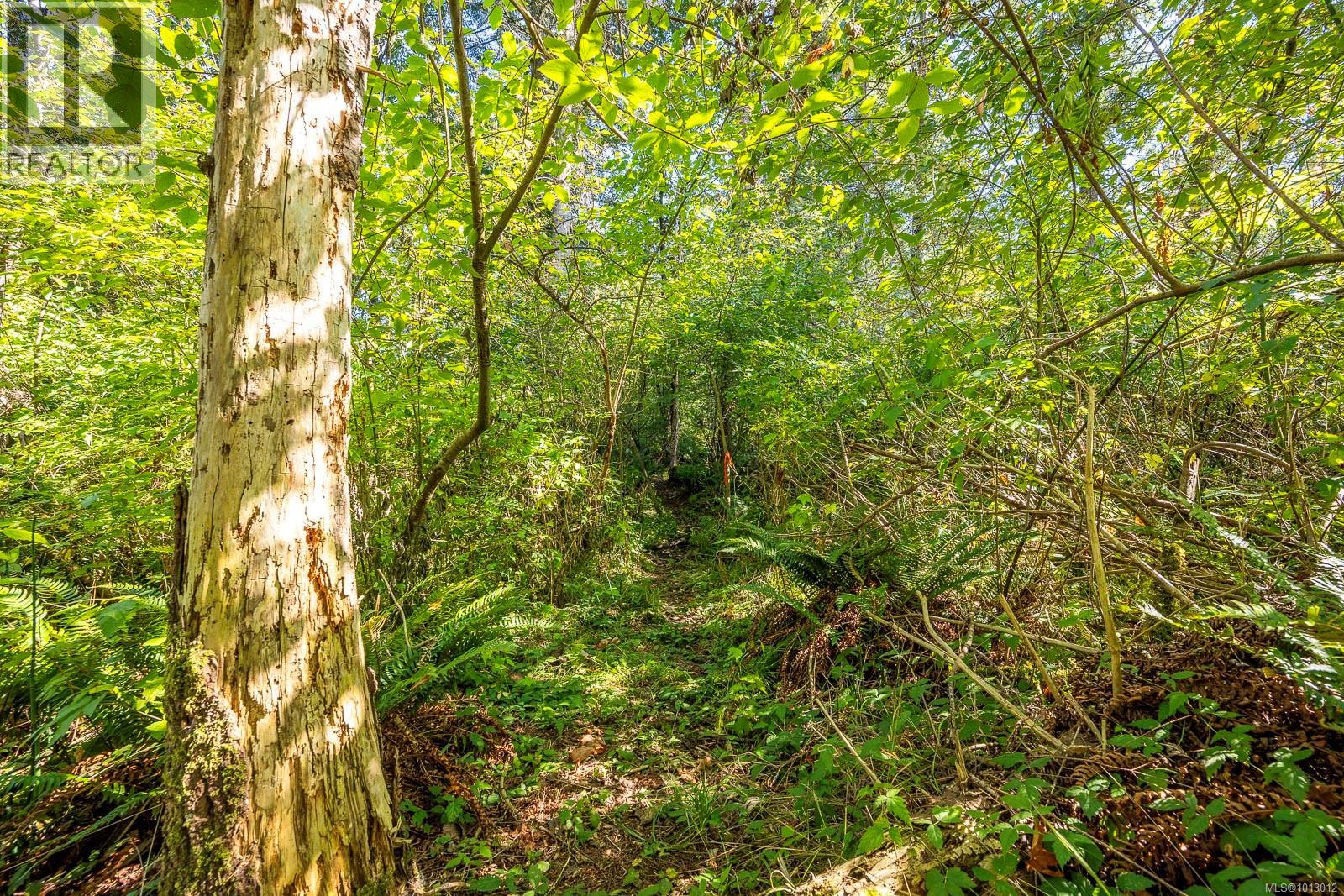 3465 CESSFORD Rd, Courtenay