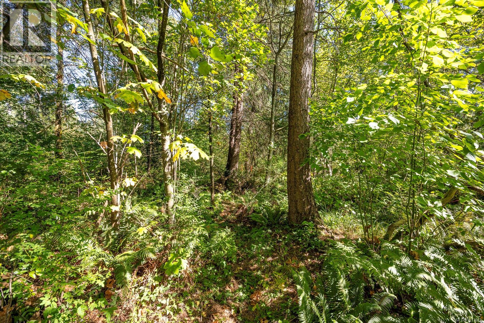 3465 CESSFORD Rd, Courtenay