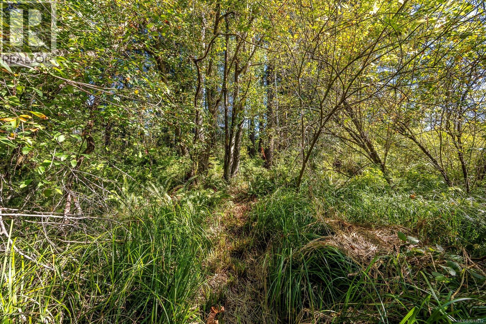 3465 CESSFORD Rd, Courtenay