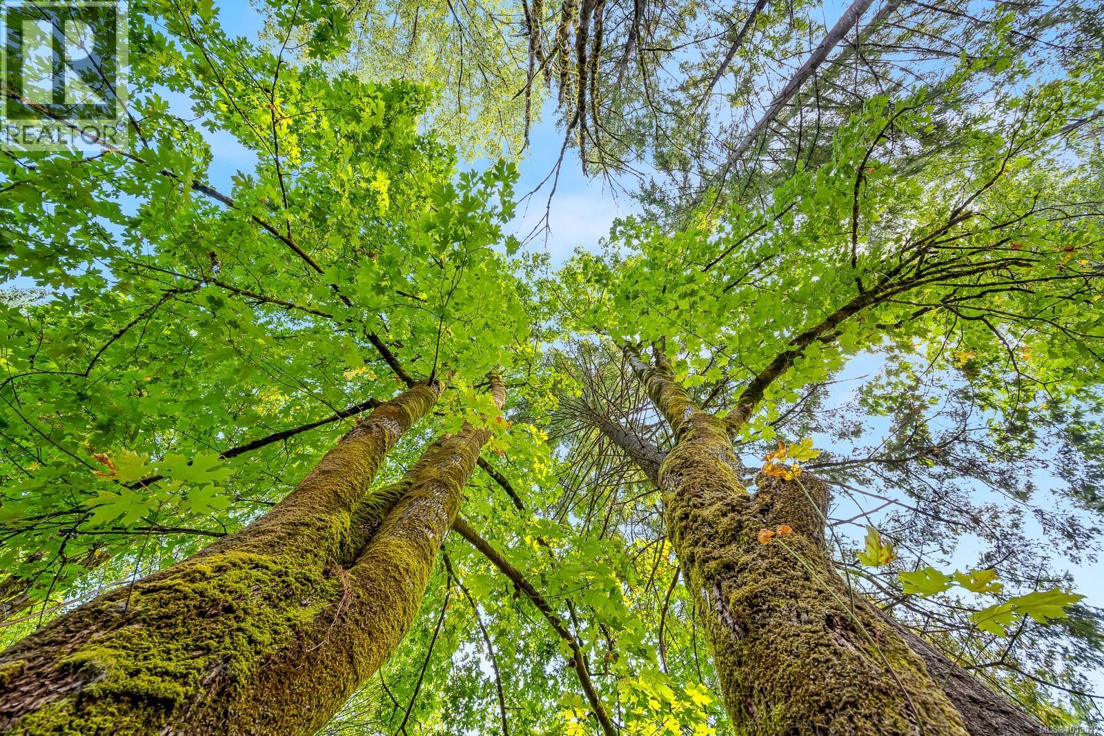 3465 CESSFORD Rd, Courtenay