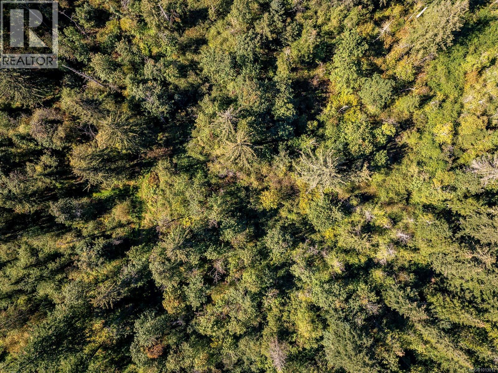 3465 CESSFORD Rd, Courtenay