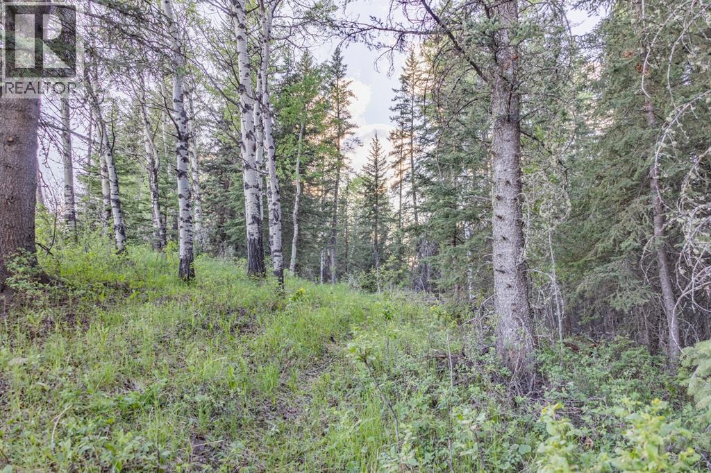 231175 Bracken Road, Bragg Creek