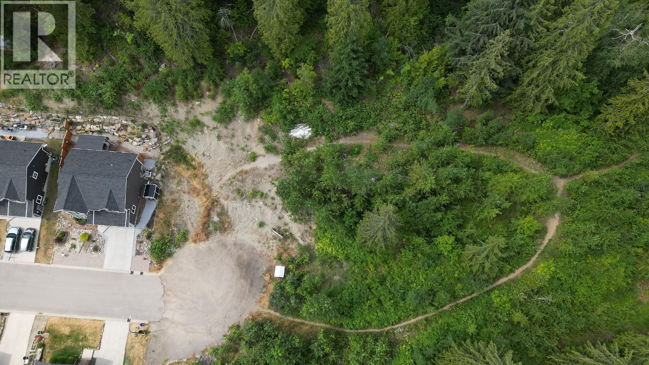 2812 CEDAR CRESCENT - 9