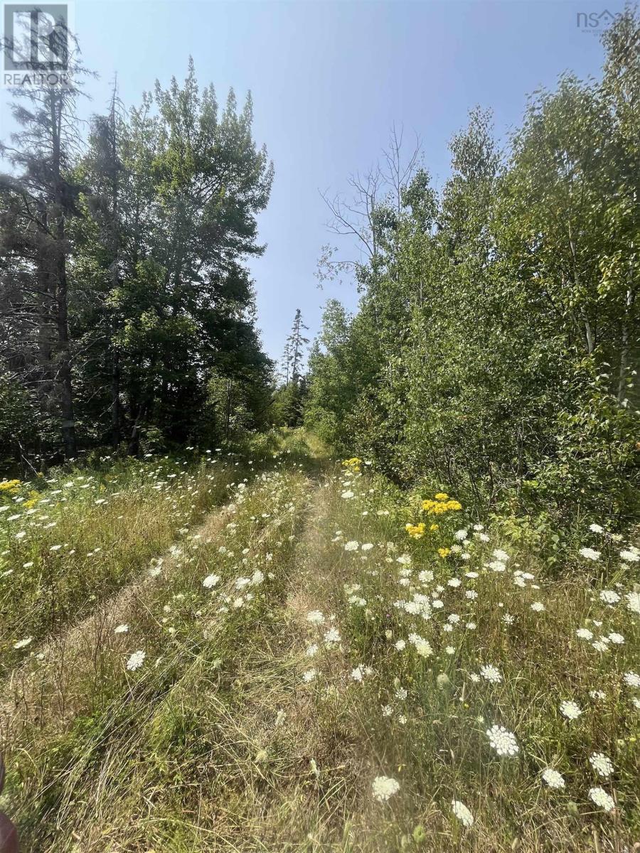 Property 7 of 12 of Lot 16 West Bay Highway