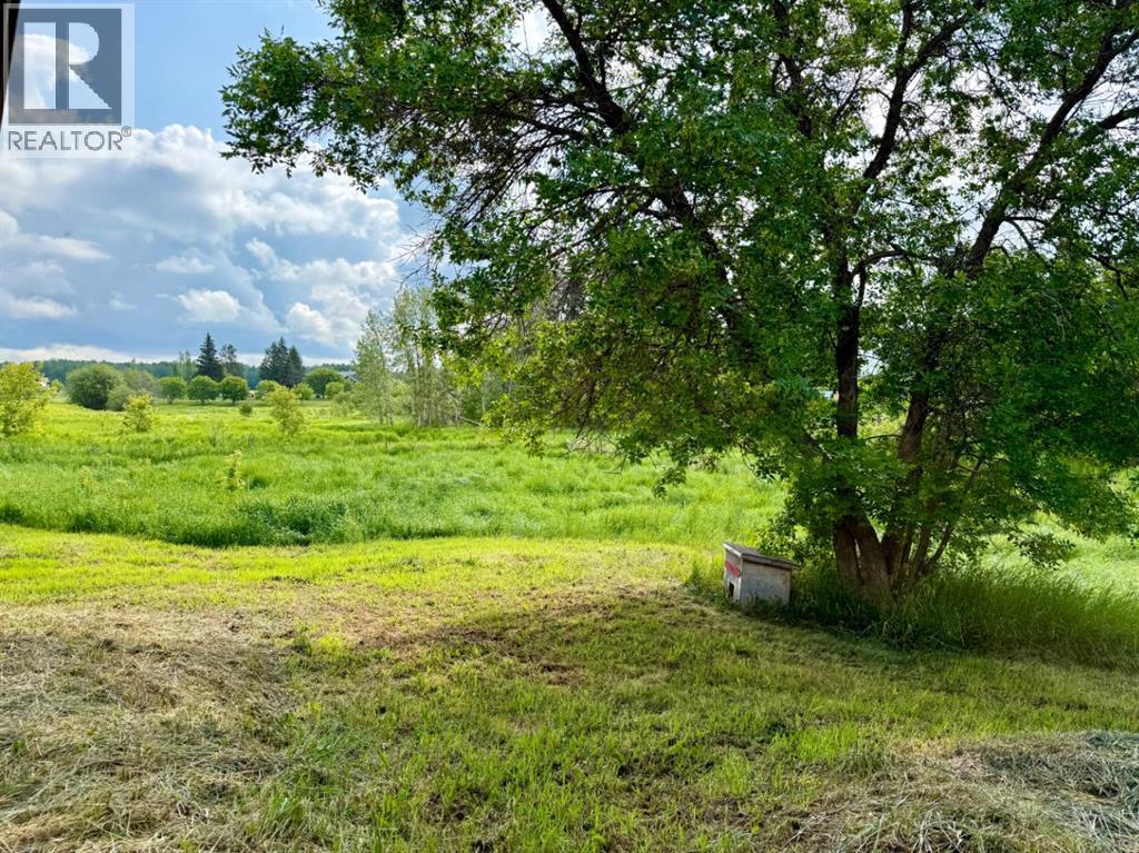 9917 103 Avenue, Plamondon