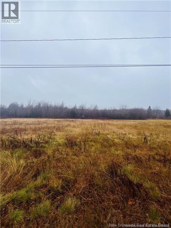 Route 118 photo 5