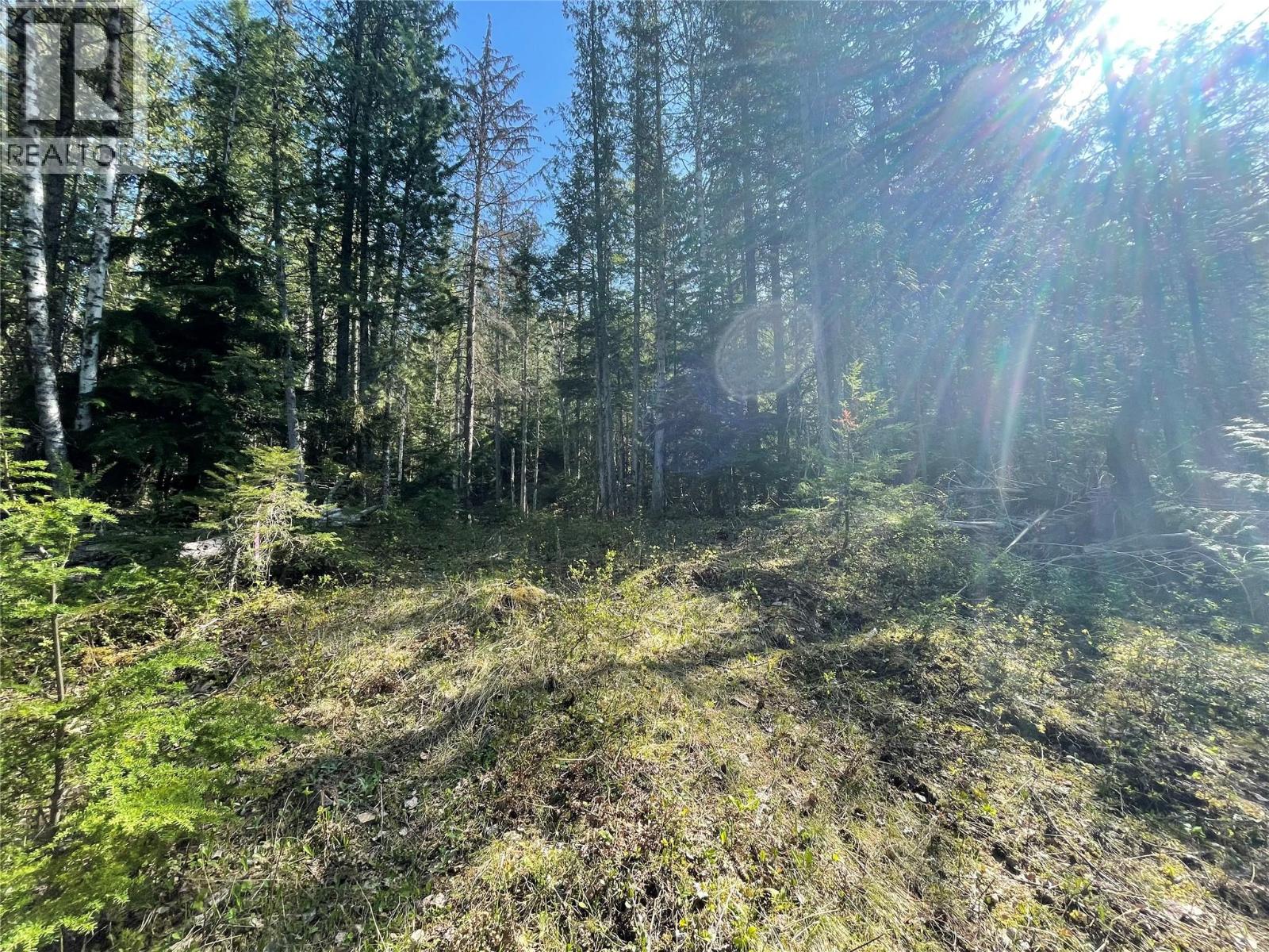 1918 Camozzi Road, Revelstoke
