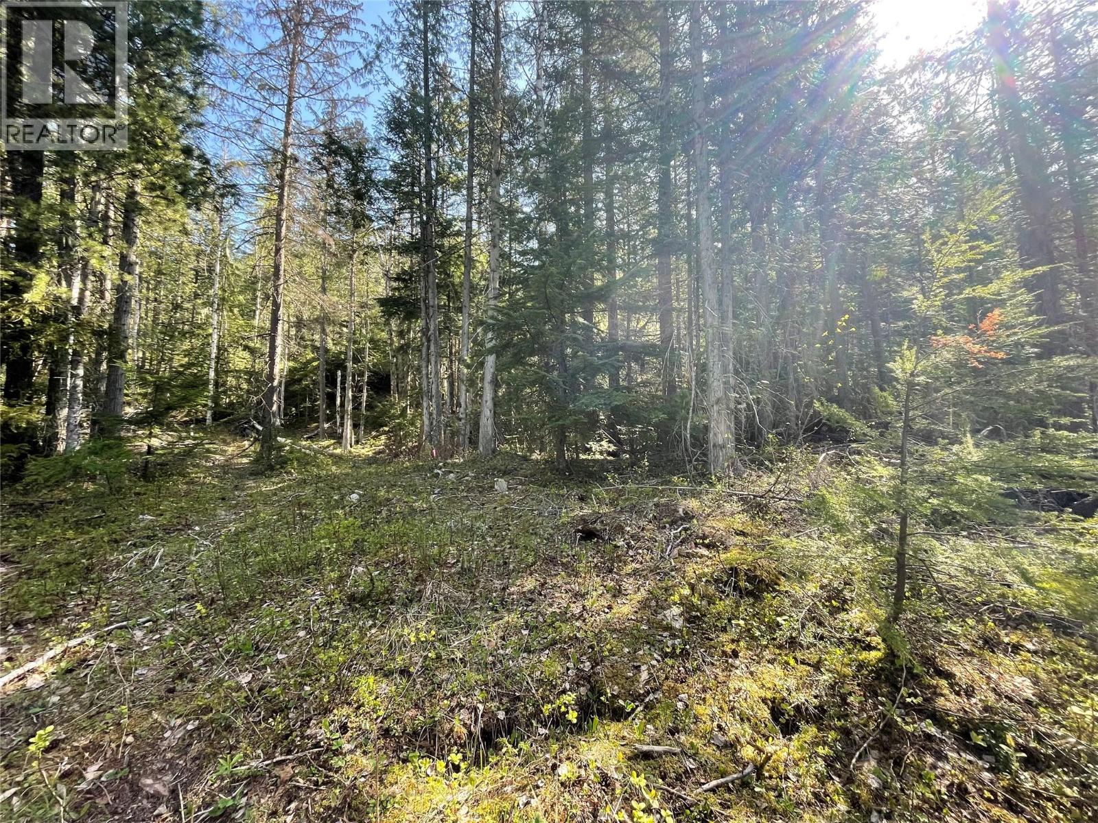 1918 Camozzi Road, Revelstoke
