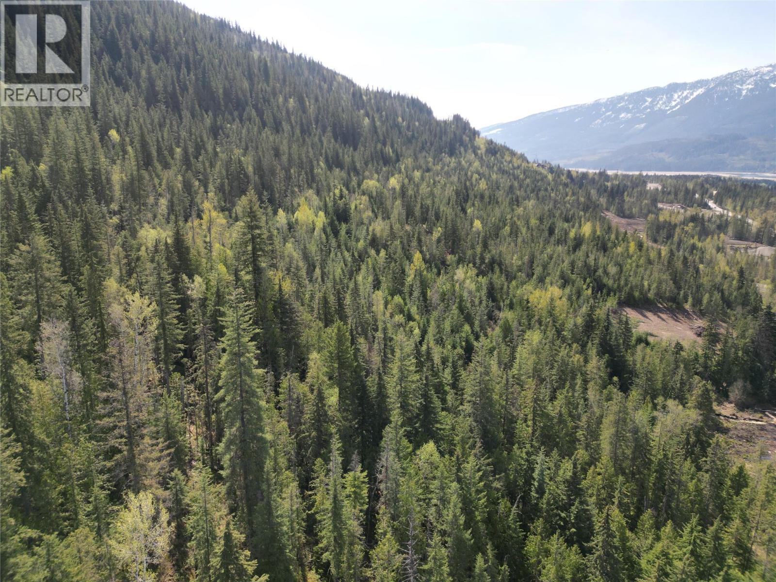 1918 Camozzi Road, Revelstoke