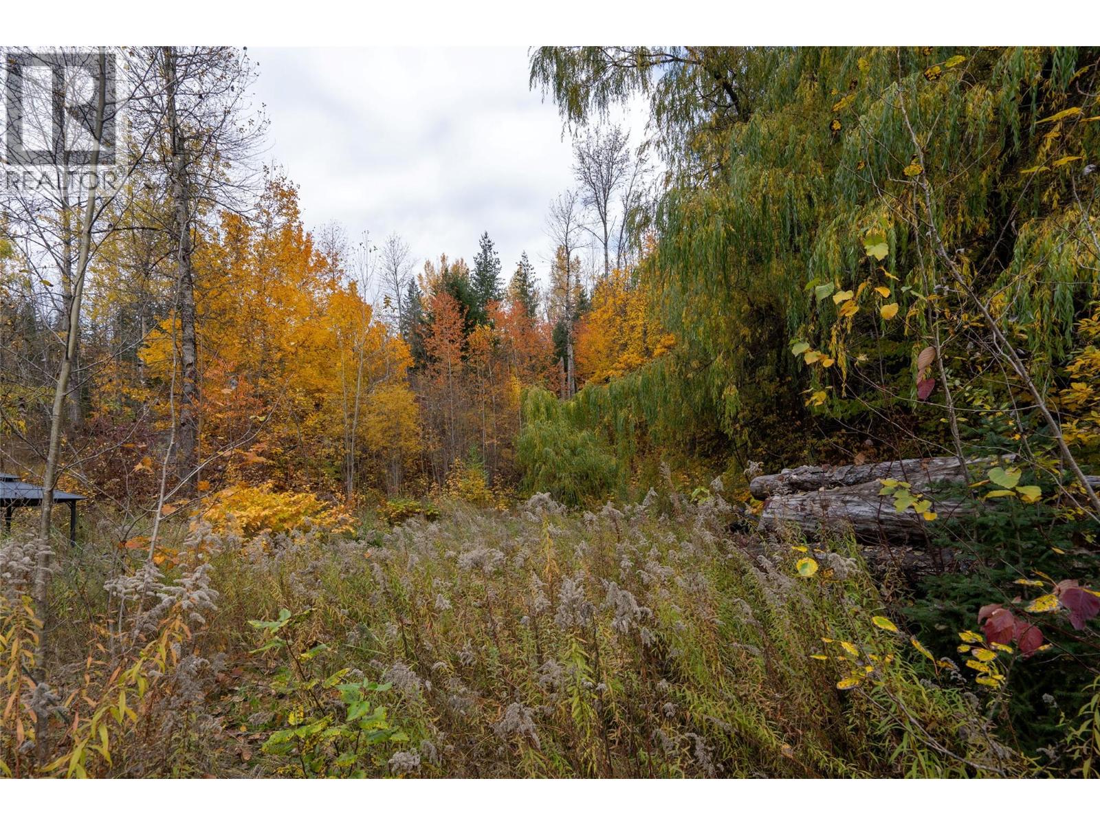 902 Farrell Road, Revelstoke