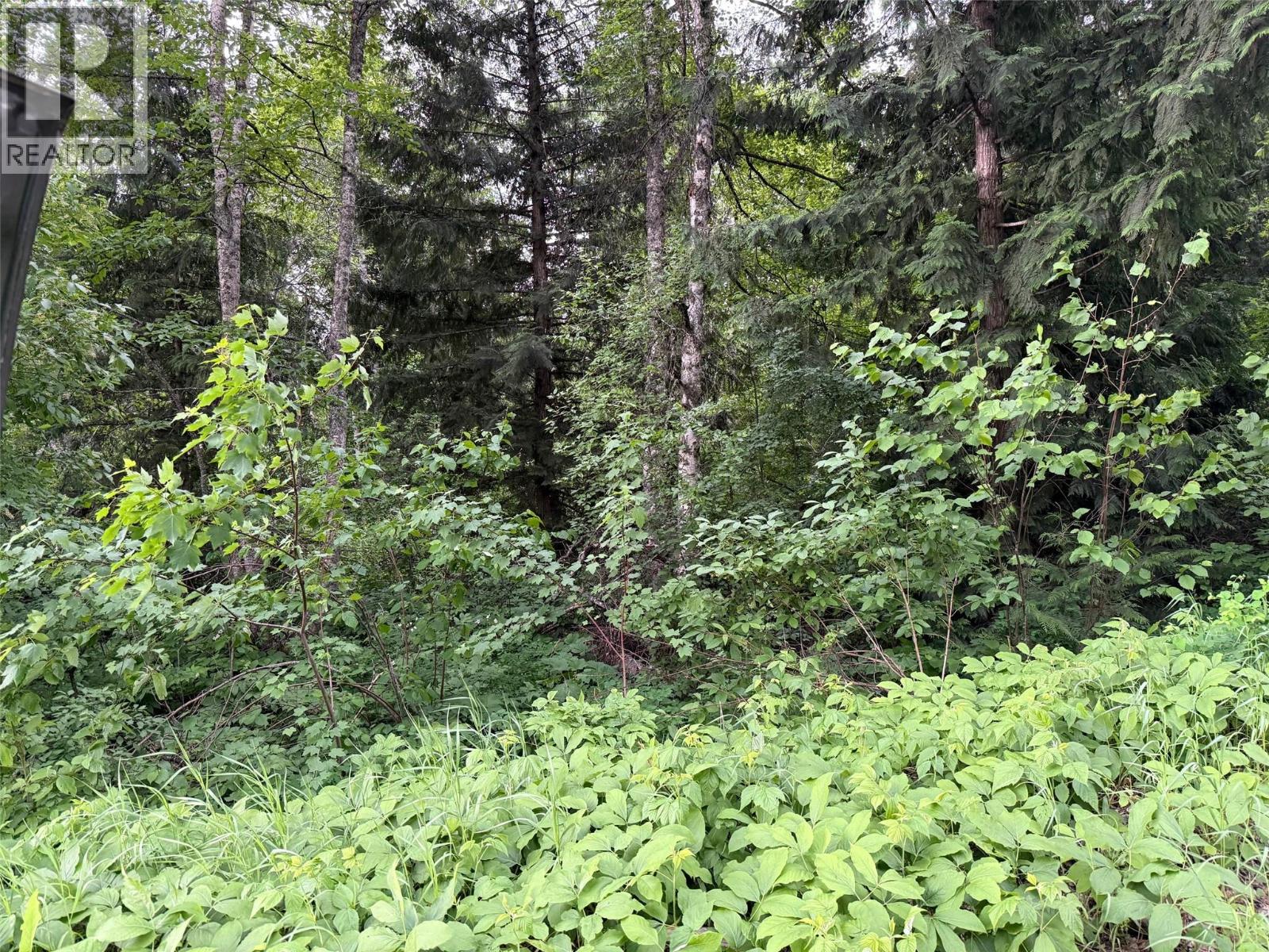 2128 Blackwater Road, Clearwater