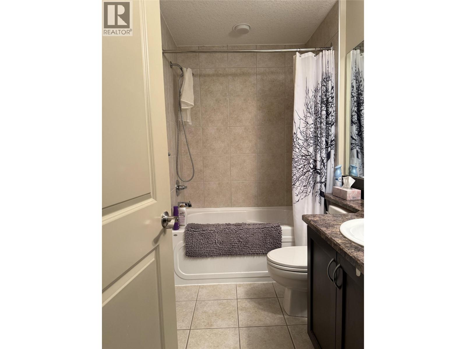 1500 MCDONALD Avenue Unit# 203, Fernie