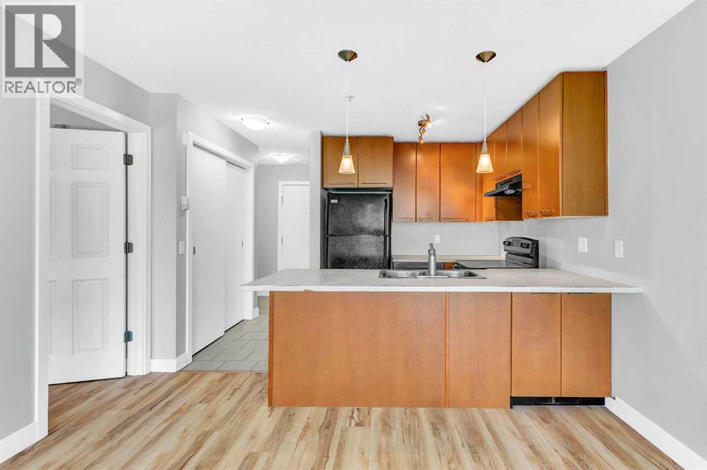 Single Family House for Sale in   Richard Court SW Lincoln Park Calgary 