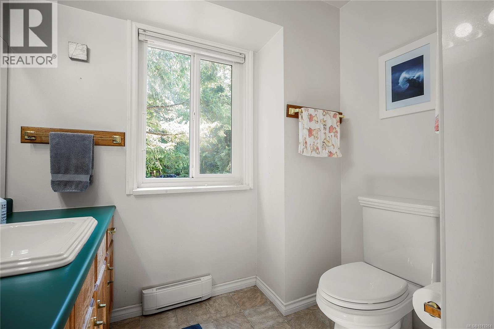 1312 McKenzie Dr, Duncan