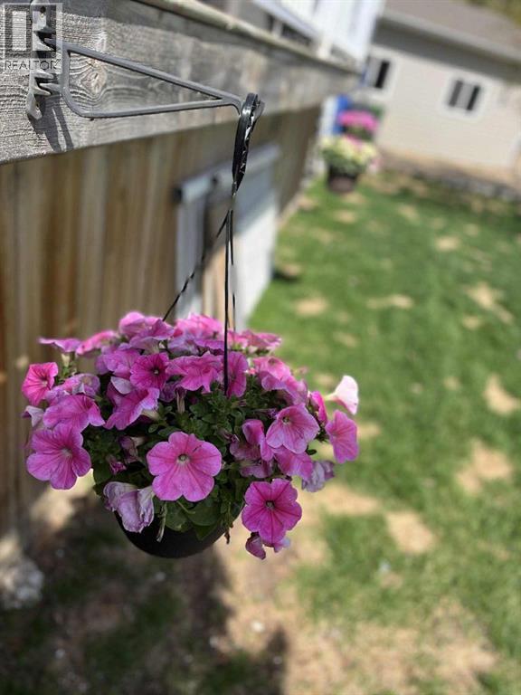 12 Ammeter Close, Red Deer