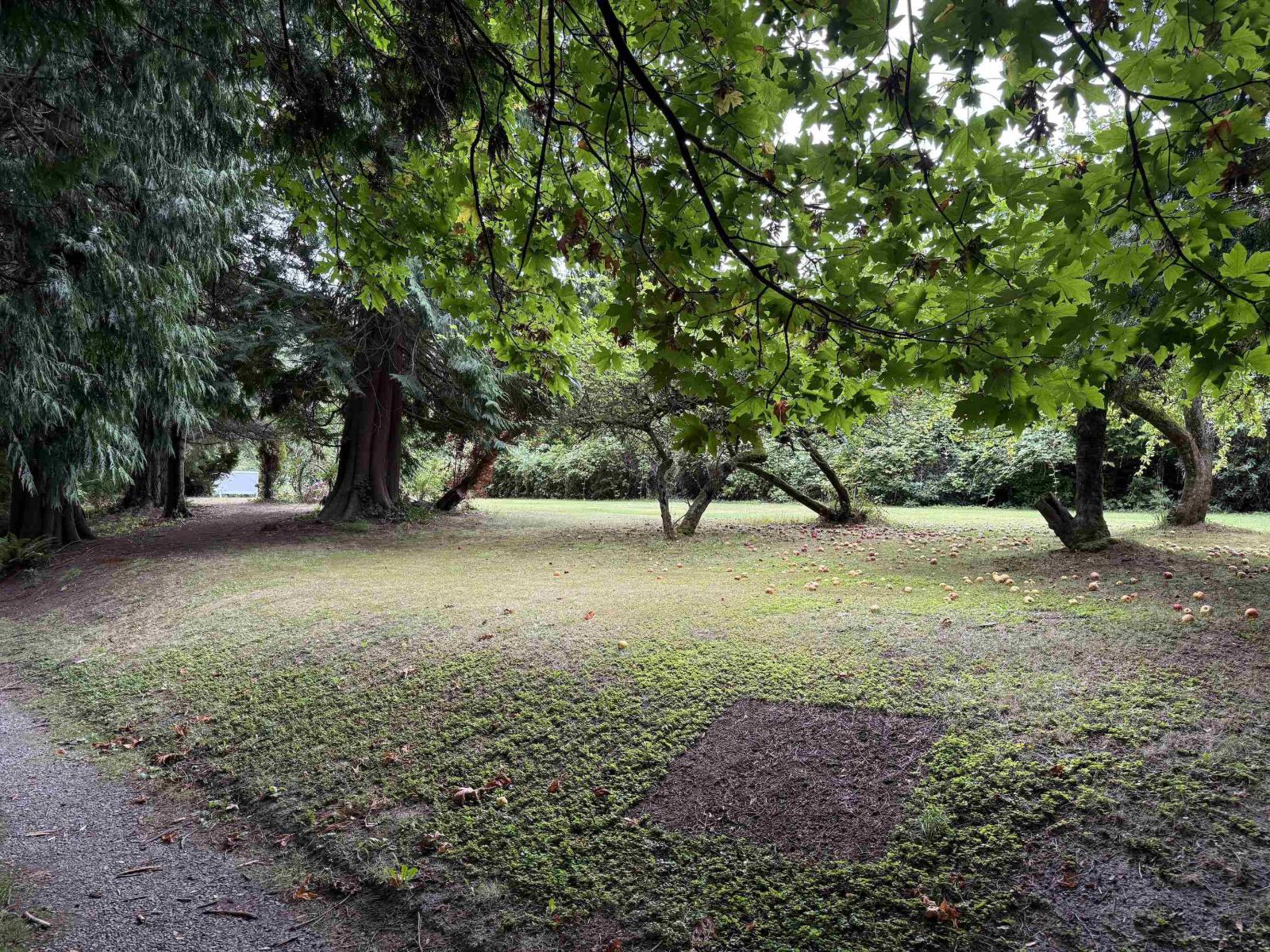16203 8 AVENUE, Surrey
