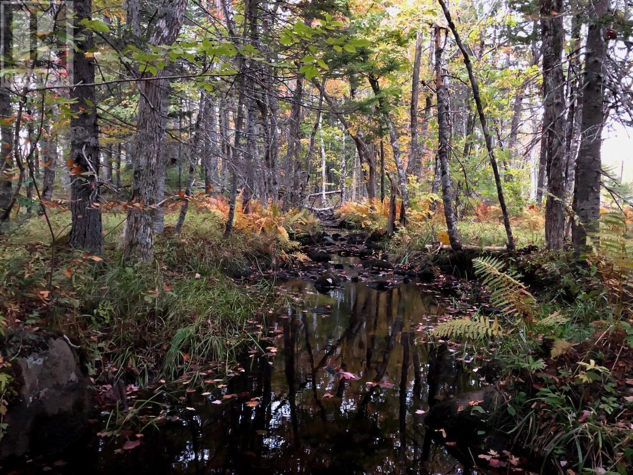 Property 12 of 22 of 1269 Hampton Mountain Road