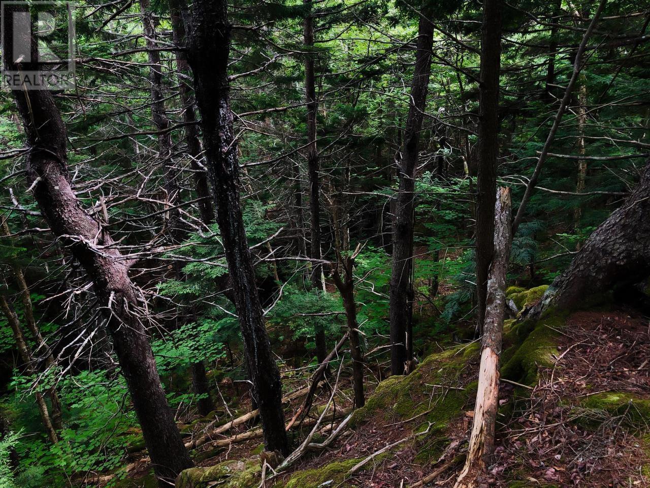 Property 15 of 23 of 1269 Hampton Mountain Road