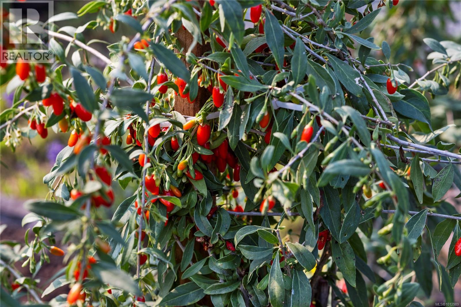 440 Gilbert Rd, Qualicum Beach