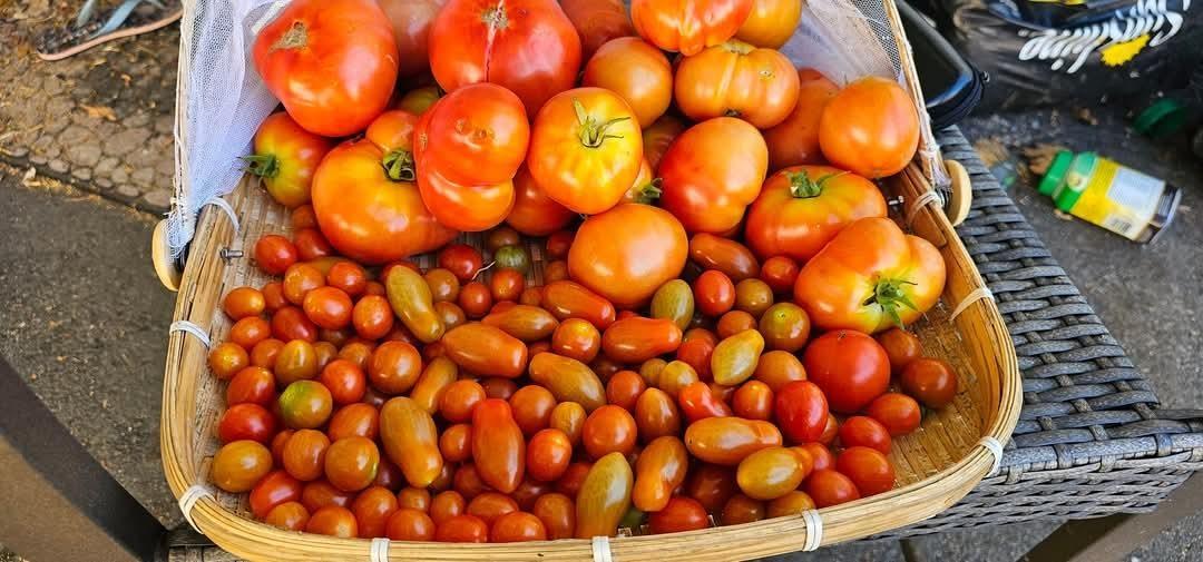 58 8220 KING GEORGE BOULEVARD