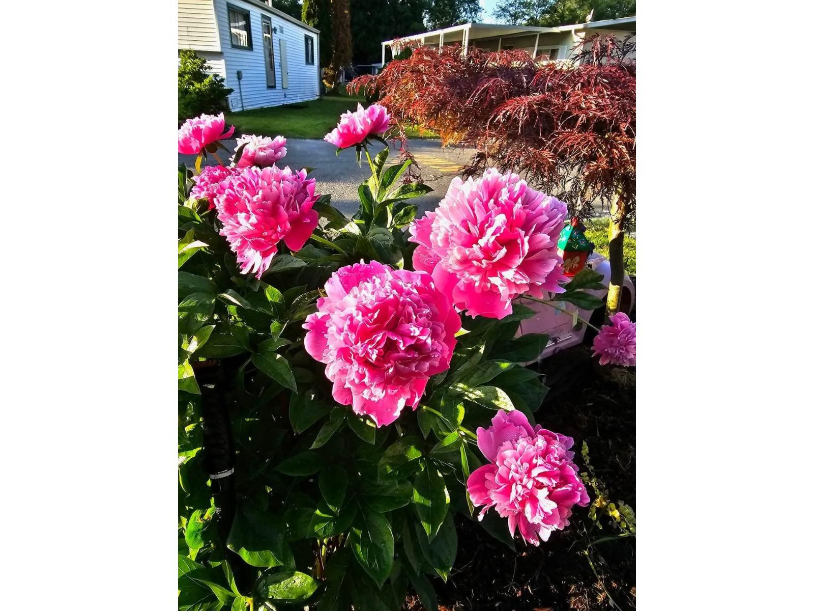 58 8220 KING GEORGE BOULEVARD, Surrey