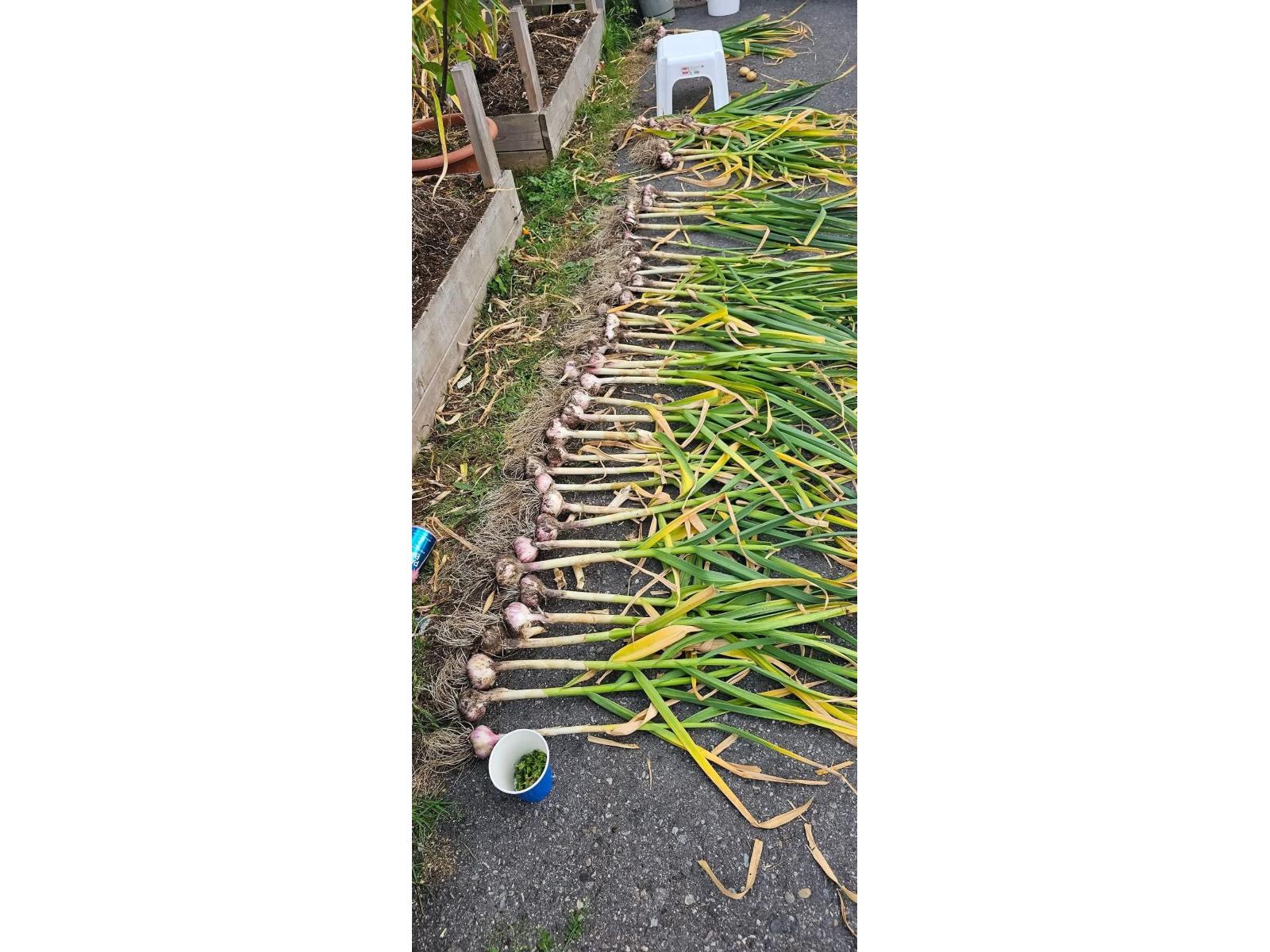 58 8220 KING GEORGE BOULEVARD, Surrey