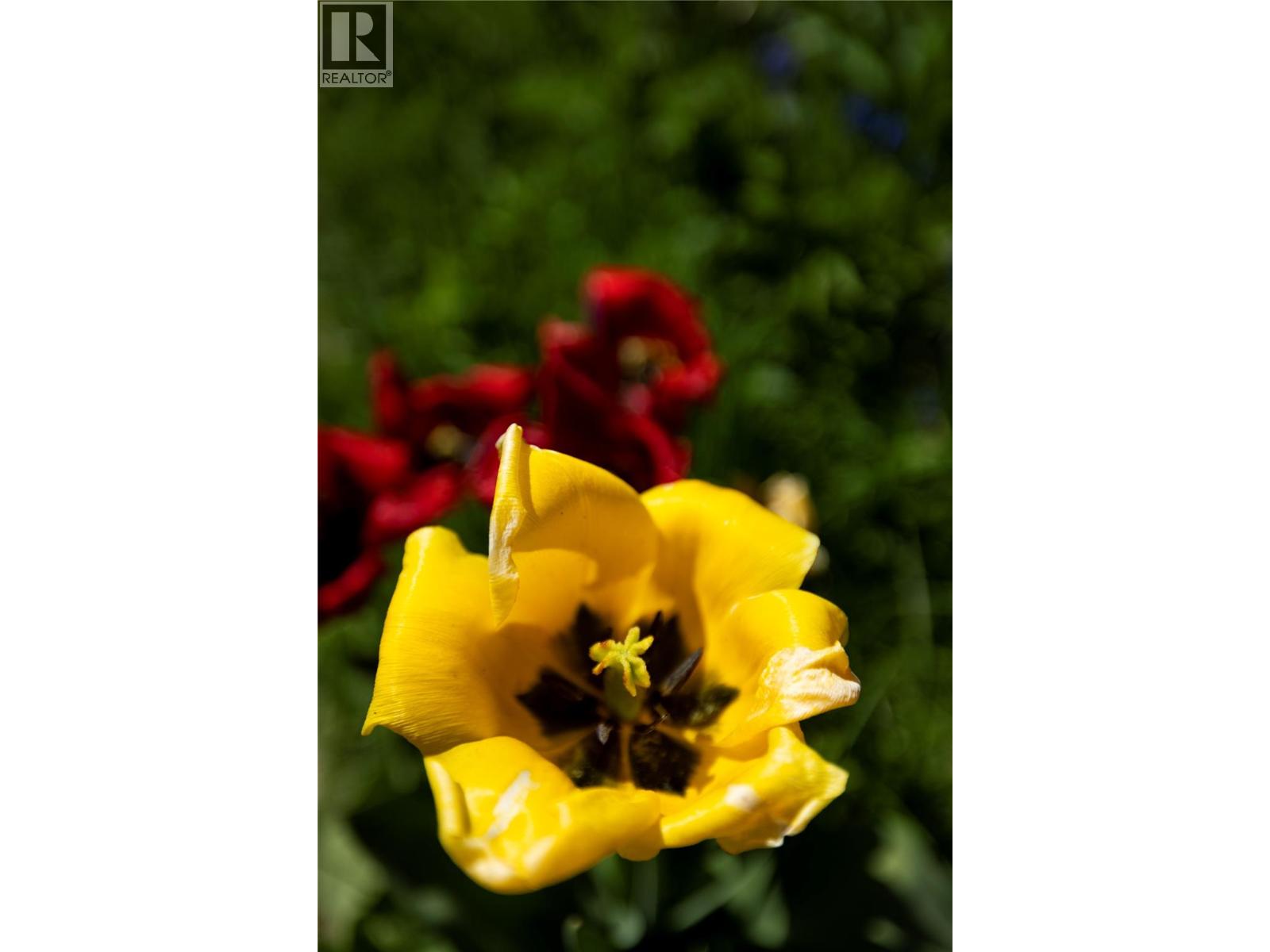 3720 Wood Avenue, Armstrong