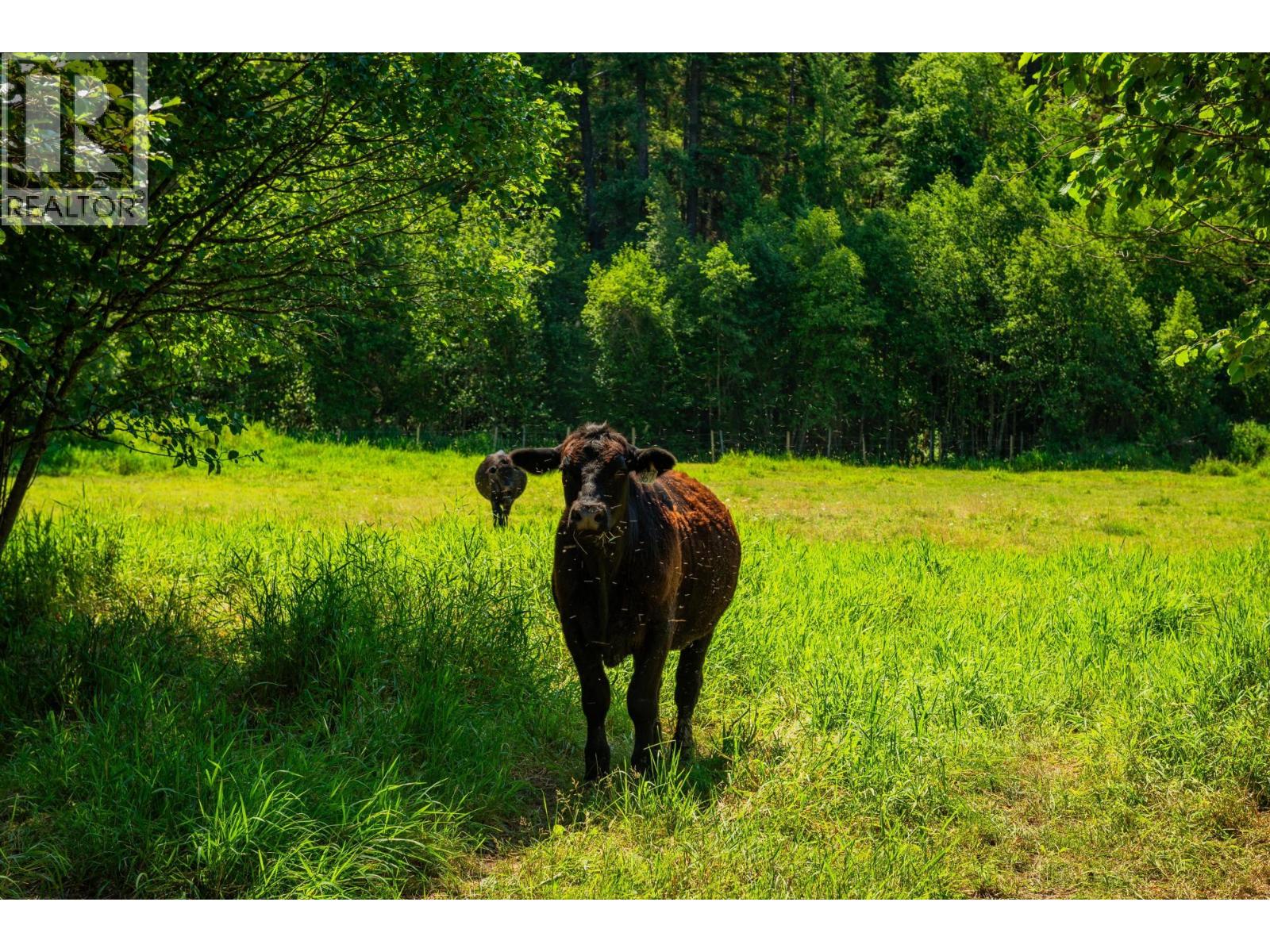 2335 PASS CREEK Road, Castlegar