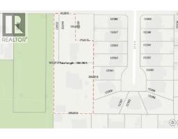 22032-22034 124th Avenue, Maple Ridge, BC V2X4J2 Photo 6