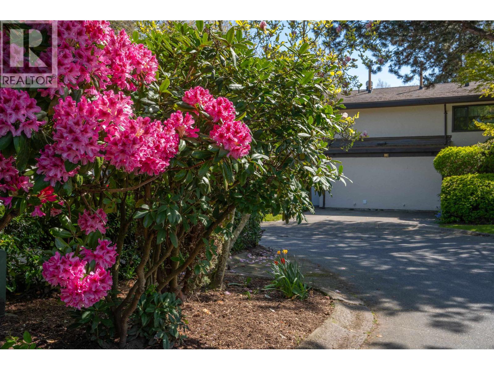 71 11491 7TH AVENUE, Richmond