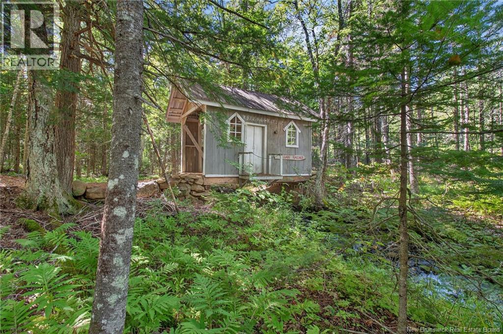 255 Niagara Road - 7