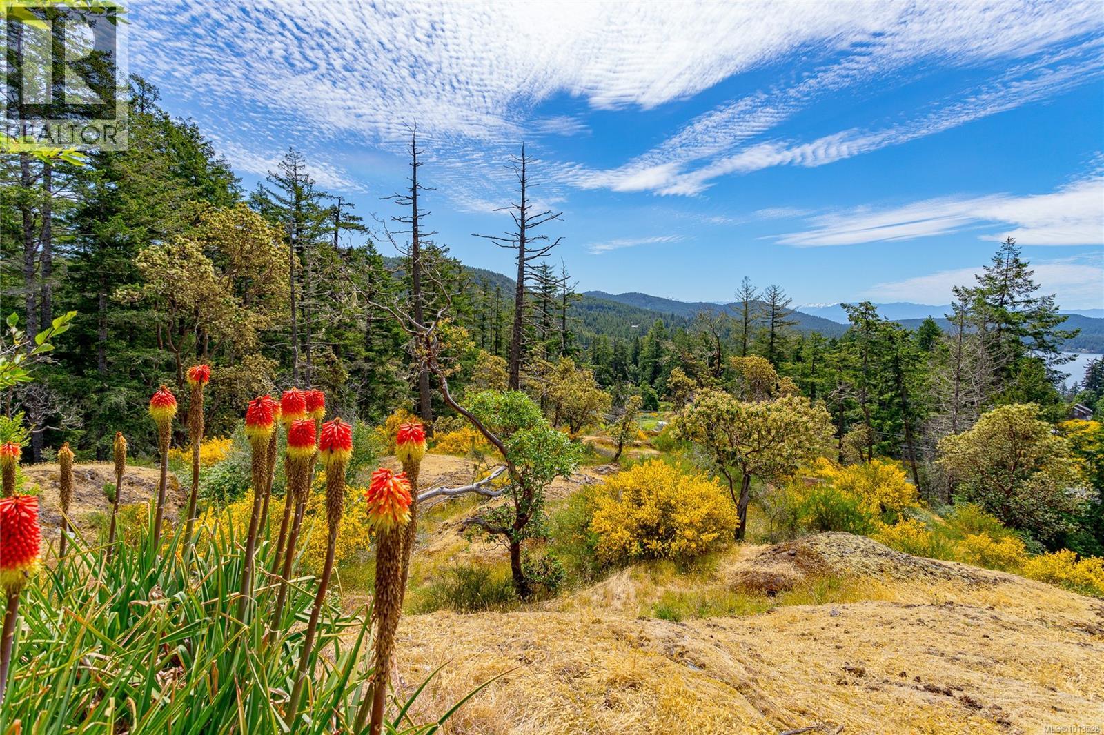 5154 Sooke Rd, Sooke