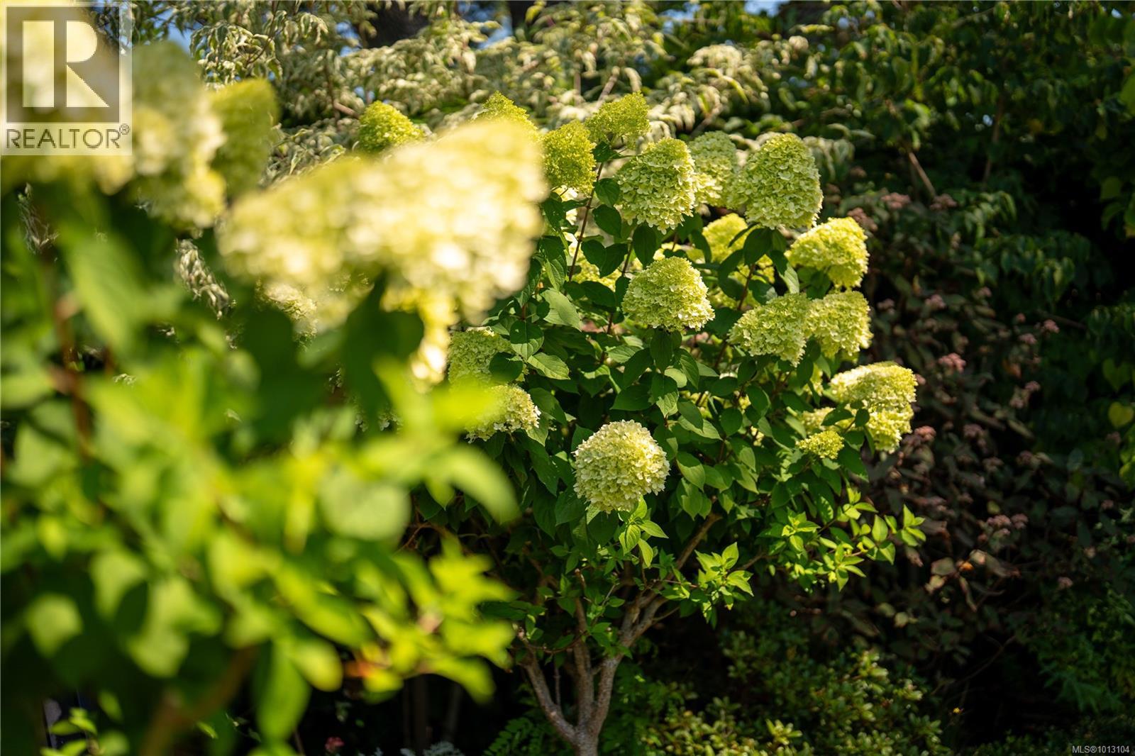  683 Mountjoy Avenue, Oak Bay