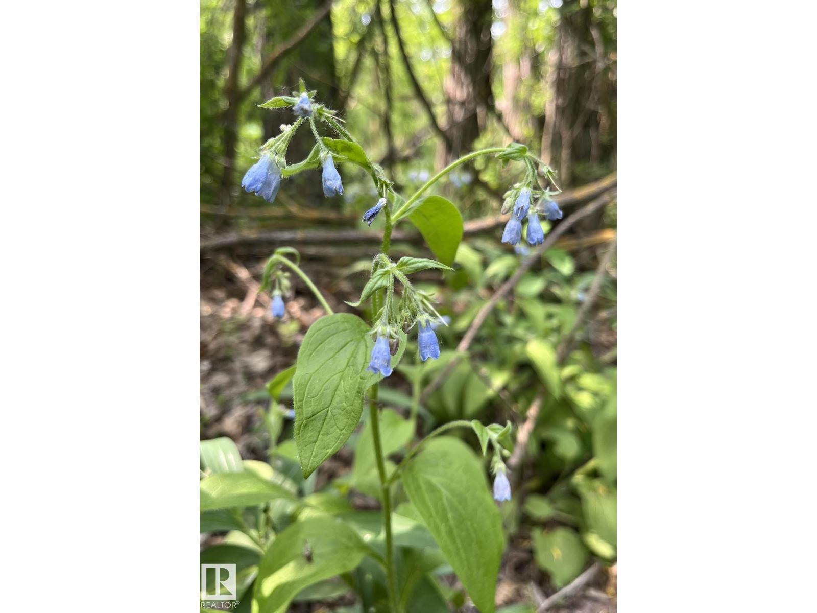 #83 21061 wye RD, Rural Strathcona County