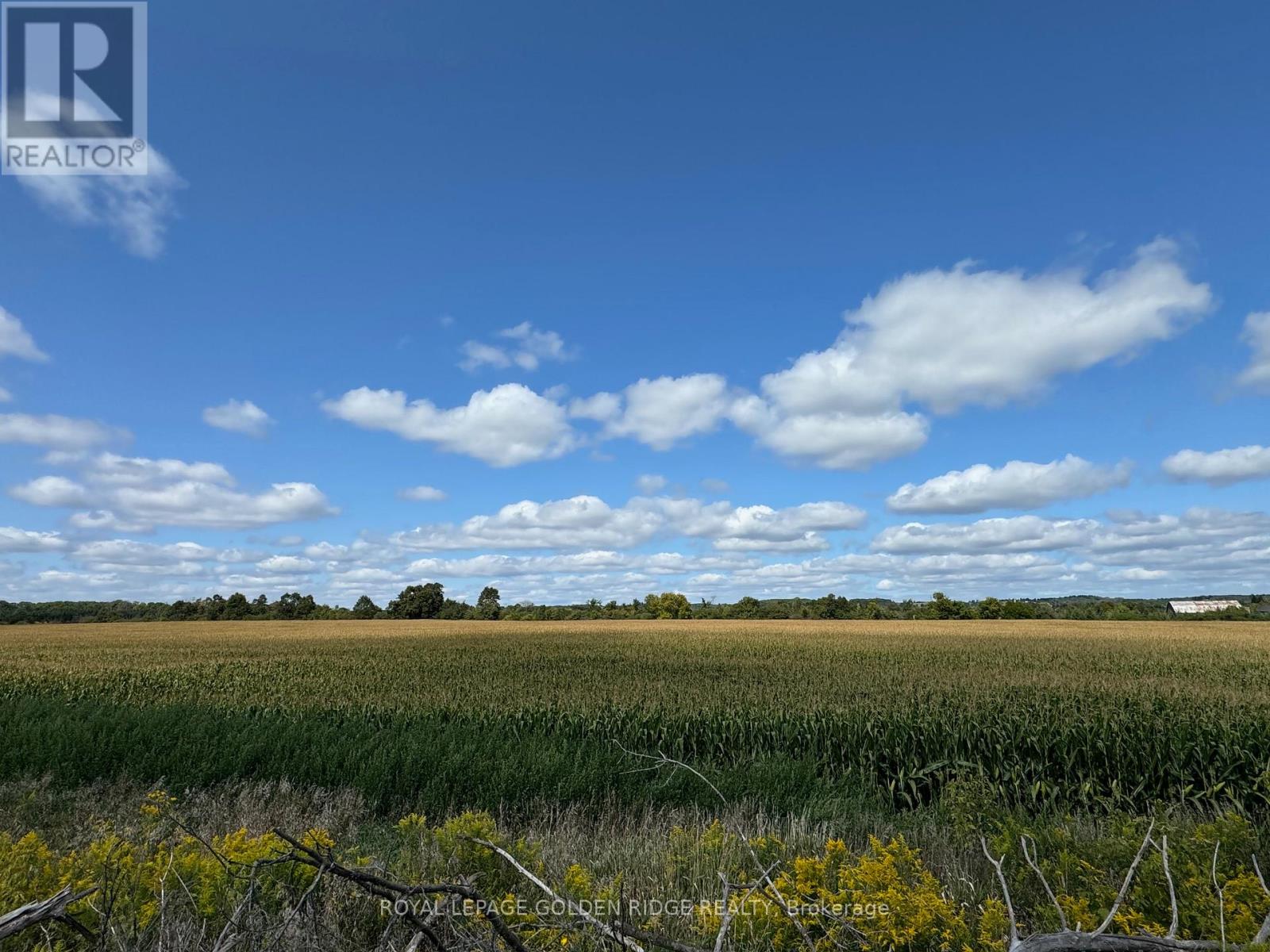 3658 STOUFFVILLE ROAD - 17