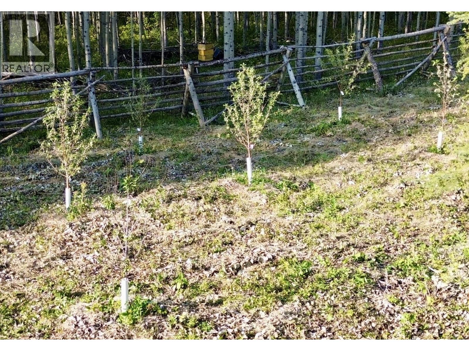 13320 DONIS ROAD, Fort St. John