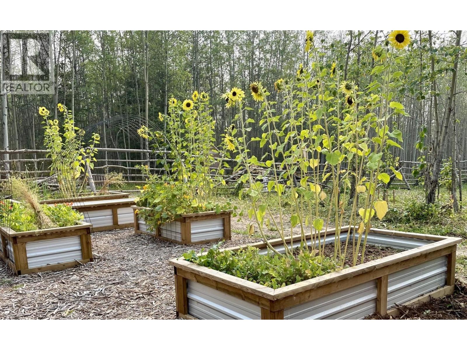 13320 DONIS ROAD, Fort St. John