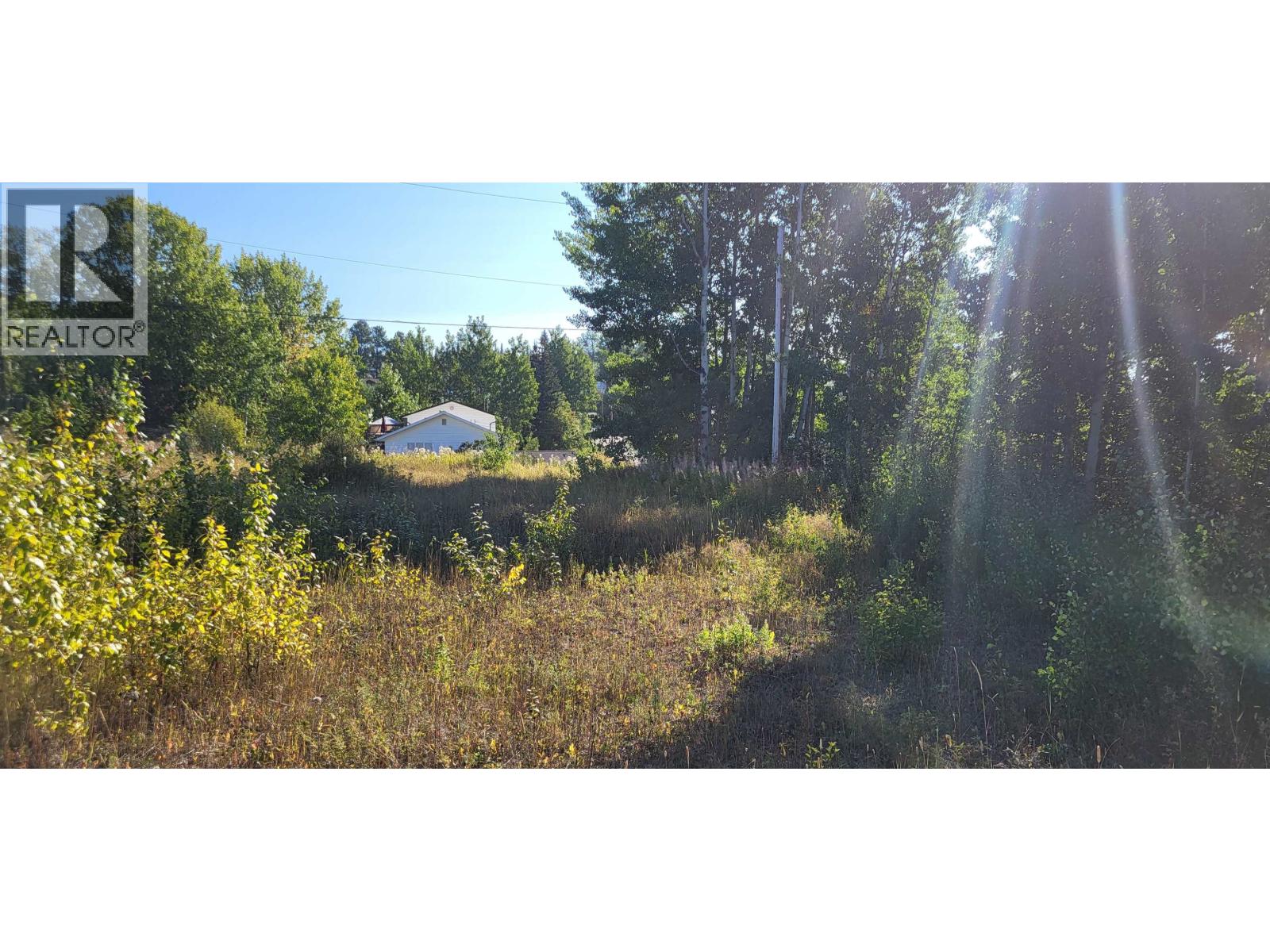 253 1ST Avenue, Burns Lake