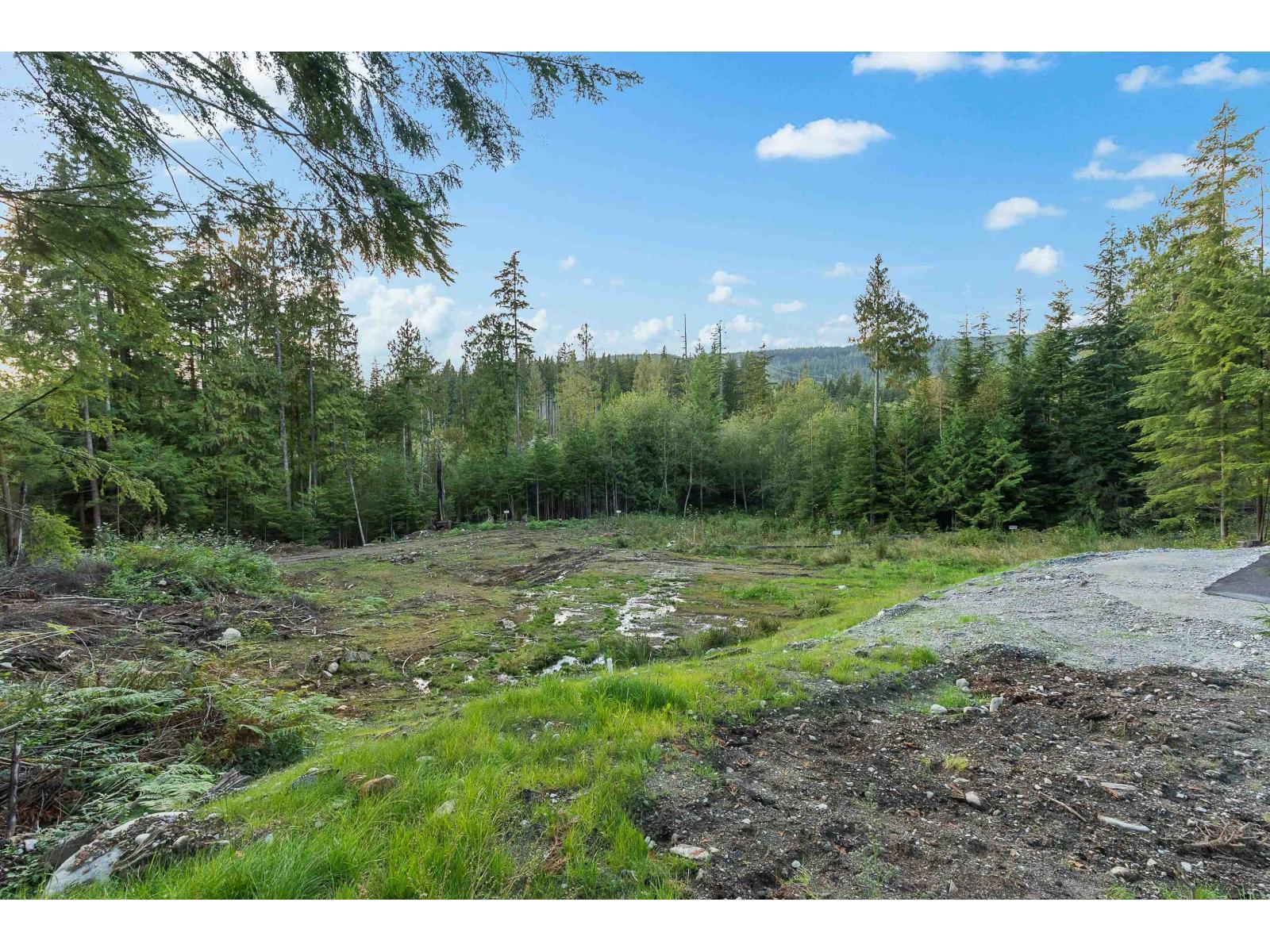 12685 CARR Street - photo 2