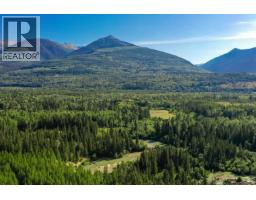 2805 Morrison Road, Valemount, BC V2L5B5 Photo 10