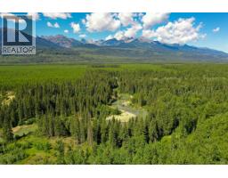 2805 Morrison Road, Valemount, BC V2L5B5 Photo 13