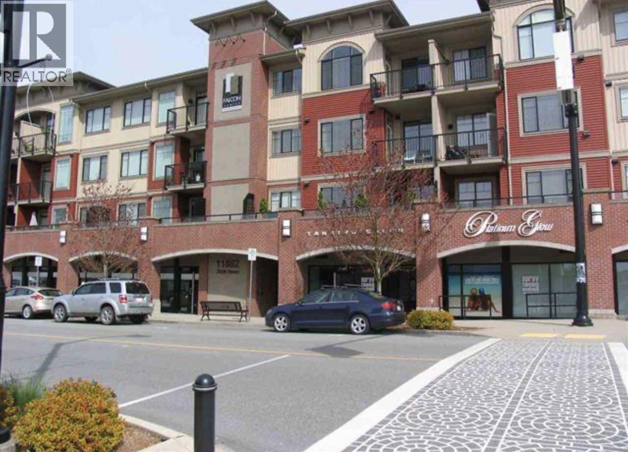 303 11882 226 ST, Maple Ridge