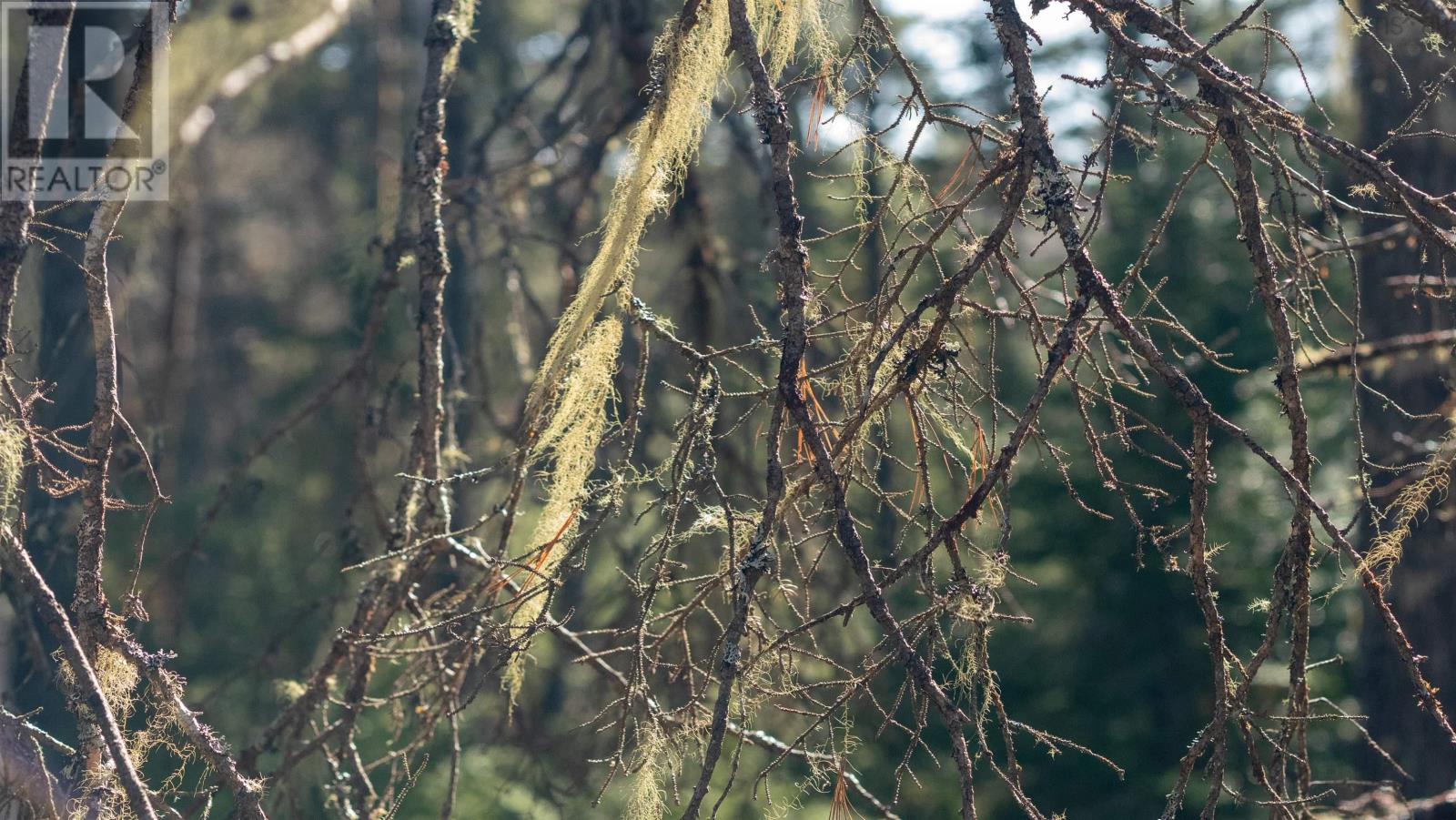 Property 10 of 25 of Lot 13 Maple Drive