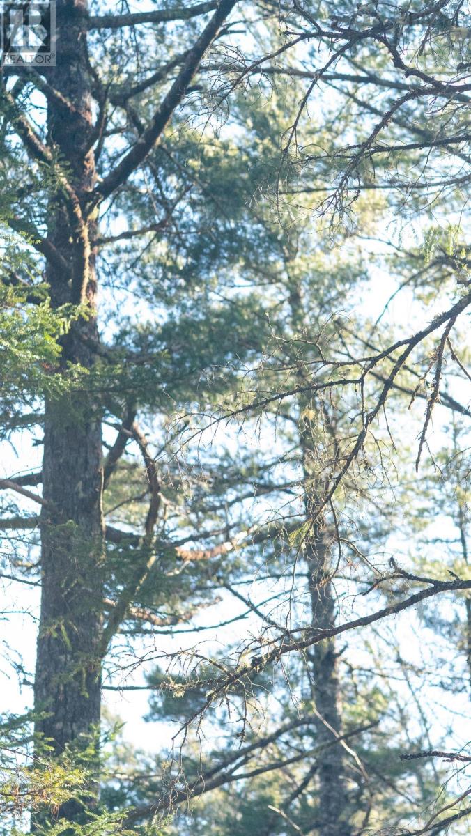 Property 18 of 25 of Lot 13 Maple Drive