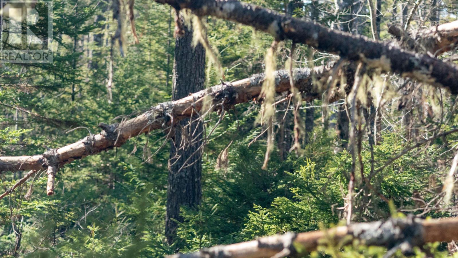 Property 11 of 25 of Lot 13 Maple Drive