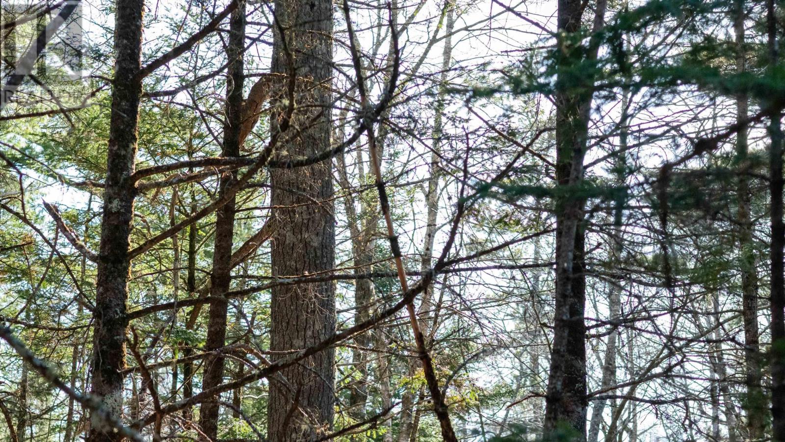 Property 14 of 26 of Lot 14 Maple Drive