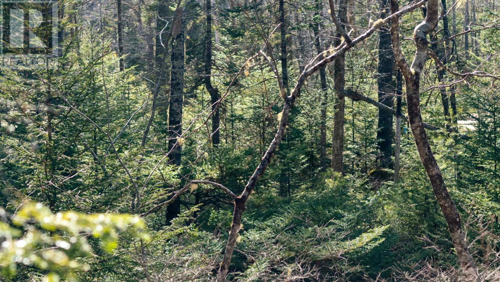 Property 2 of 26 of Lot 14 Maple Drive